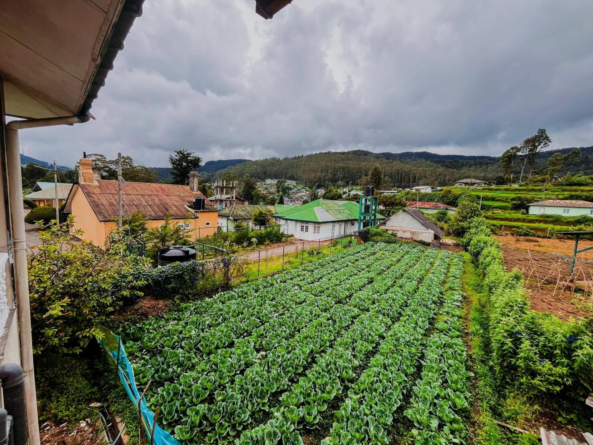 Selis Manor Leilighet Nuwara Eliya Eksteriør bilde